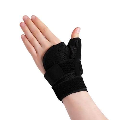 [Xvm] ewT|[^[ F≊ T|[^[ ew ewtT|[^[ wT|[^[ ΂ˎw  w   (ubN)