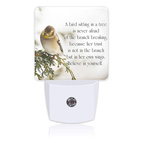 Image of Plug in Night Lights Inspirational Quote on Life Nightlight Plug Into Wall Dusk to Dawn Sensor LED Night Light for Kid Girls Boys Women Room Decor,Hallway,Kitchen,Bathroom,Nursery,Stairs