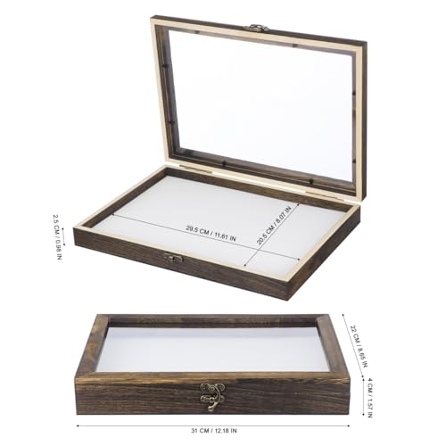 Image of Gatuida Insect Display Box Clear Top Specimen Storage Frame for Butterfly and Bug Collection Wooden Display Box with Mat Desktop Decor for Insect Specimens and Small Keepsakes