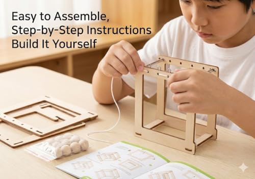 Image of Newton's Pendulum DIY Science Experiment Kit for Kids | STEM Educational Wooden Toy | Physics Learning Model | School Project & Gift for Boys & Girls (8+ Years) (Newton's Pendulum)