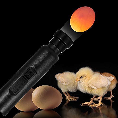 Brilhante Cool LED Luz Oval Candler Tester Incubadora De Armazenamento Exclusivo De Energia Apenas p