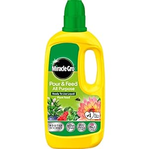 Miracle-Gro Pour and Feed Liquid Pl...
