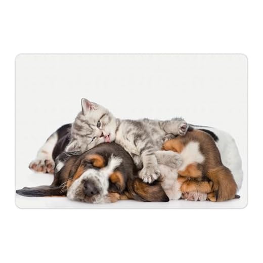 Lunarable Funny Pet Mat for Food and Water, Kitten Lying on The Puppies Basset Hound and Licks Sleeping Cuddle Picture, Non-Slip Rubber Mat for Dogs and Cats, 18" X 12", White Tan