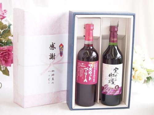 ̏H̑蕨 ӂ̑蕨{bNX RY}XJbgx[[AgpCƍYC2{Zbg(̎n ԃC Ì(R)720ml}XJbgx[[AԃC720ml