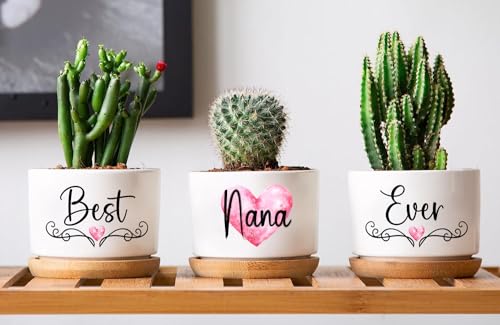 AnhTram97 Best Nana Ever Plant Pots - 3 x White Ceramic Succulent Pots - Indoor, Casual, Matte Finish with Drainage Hole - Perfect for Home Decor & Gifts