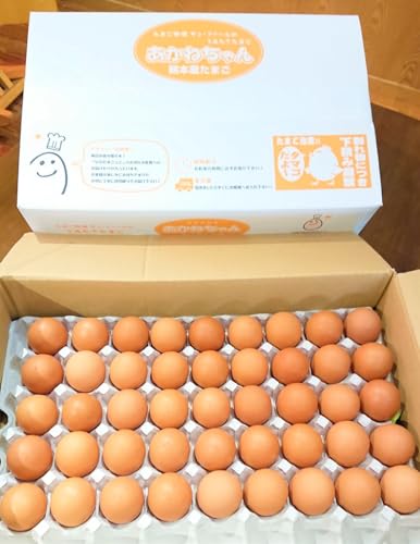 TEt@[ ˂  { ̂ Y B F{ (45ʁi35+j⏞10j)