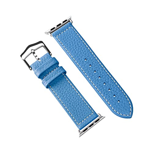 COGURE RO Apple Watch oh {v Rp`u AbvEHb`oh xg fB[X jp Series 10 9 8 7 SE 6 5 4 3 2 1 S@Ή Mtg{bNX COP01 42mm(Series