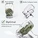 Complete Sprouting Jar Kit- 2 Wide Mouth Mason Jars with Premium 316 Stainless Steel Screen Lids, Blackout Sleeves,Tray, Stand - Seed Sprouter Set for Growing Broccoli, Alfalfa, Salad, Sandwich