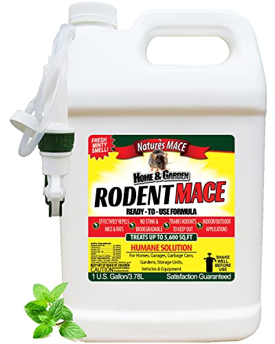 Nature's MACE 1 Gal Rodent Repellent Spray, Mouse & Rat Control for Car Engines, Repel Mice, Indoor & Outdoor Spray, Stop Rodent Damage in House, Car, RV, Attic, Garage, Stops Nesting & Wire Chewing