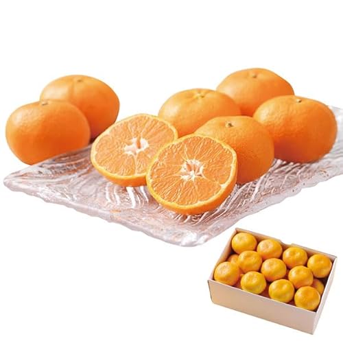 ΕMtgEQY ݂ 2kgb13`21 (v2kg)b~Mtg yY  