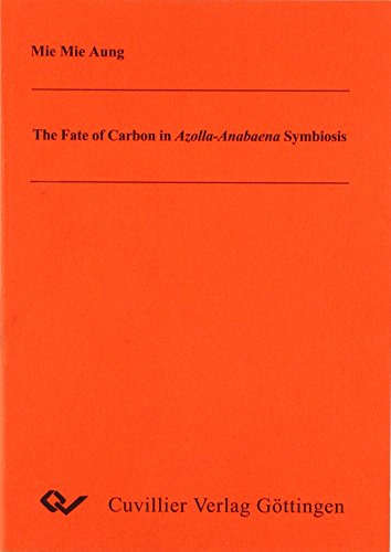 The Fate of Carbon in Azolla-Anabaena Symbiosis