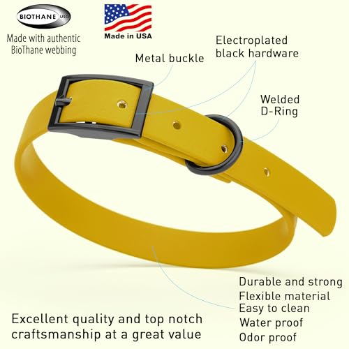 Image of Dogline Biothane Waterproof Dog Collar Strong Coated Nylon Webbing with Black Hardware Odor- Proof for Easy Care Easy to Clean High Performance Fits Small Medium or Large Dogs, Treasure Gold