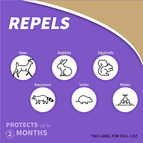 Bonide Repels-All Animal Repellent, 32 oz Concentrate, Long Lasting Outdoor Garden Deer Repellent, People and Pet Safe - image 3
