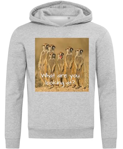 Sweat à capuche en coton mélangé gris avec slogan Meerkats pour homme et femme