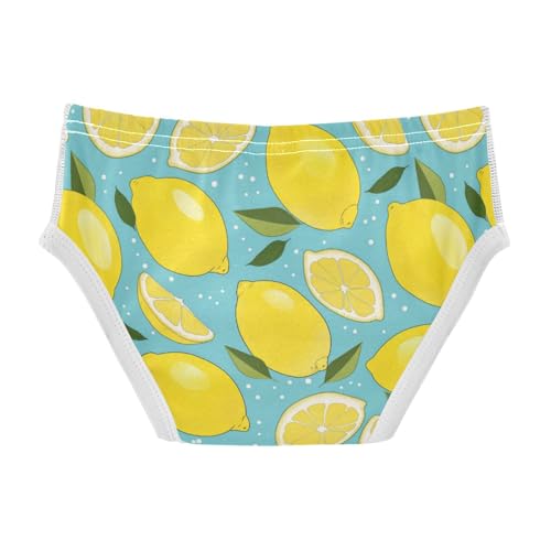 Wusikd Lemon Boys' Underwear Cotton Slices Mint Boys Briefs Soft Toddler Underwear 2T2