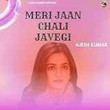 Meri Jaan Chali Javegi (Remix)
