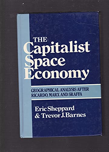 The Capitalist Space Economy view 2