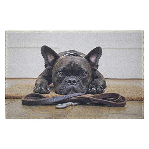Mars & More - Fußmatte, Türmatte, Schuhabtreter - Französische Bulldogge - 75 x 50 cm