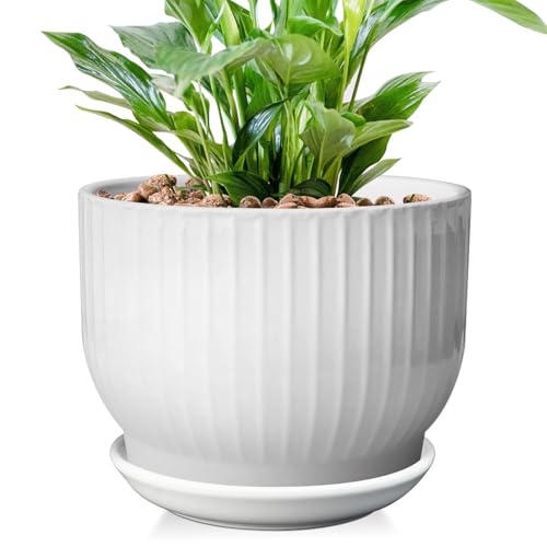 YUFDA 8 Inch Gradient Glaze Pot