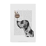 Trademark Fine Art, 22x32-Inch Dane, Harlequin, Ice Cream Text by Fab Funky