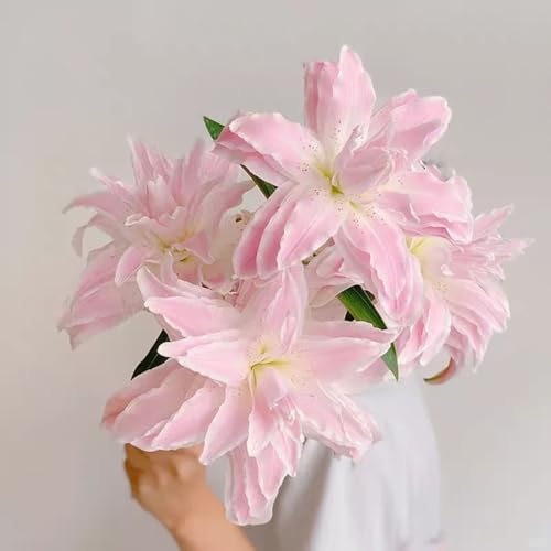 Delicate Lily Bulbs Mix for Planting Now UK/Good for Containers/Strong Plants That Grow Well/Natural Organic/Cut Flowers/Greening Flower/Wedding Flowers. -2bulbs-H