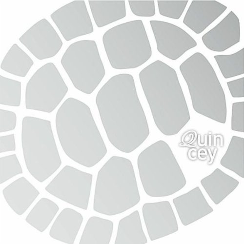 Amazon.com: Balcony of the Irish Turtle : Quincey: Digital Music