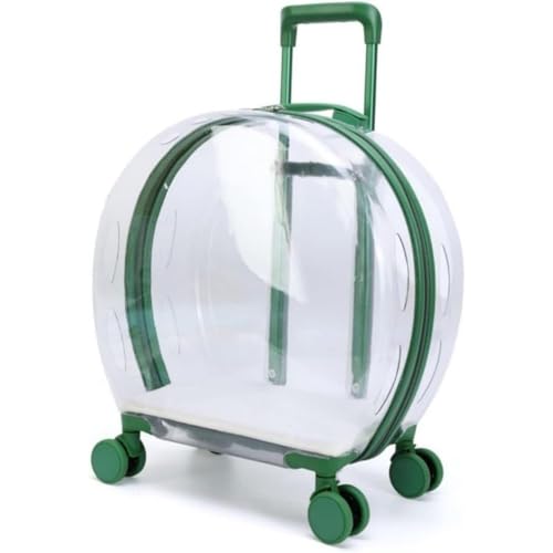 WyazzivsNLX[cP[XLX^[&bNyPC+AN ʋC яoh~tbNt hВʉ@s (O[ł)