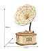 Rolife Puzzle 3D Maquetas Madera Kits para Adolescentes y Adultos (Gramophone)