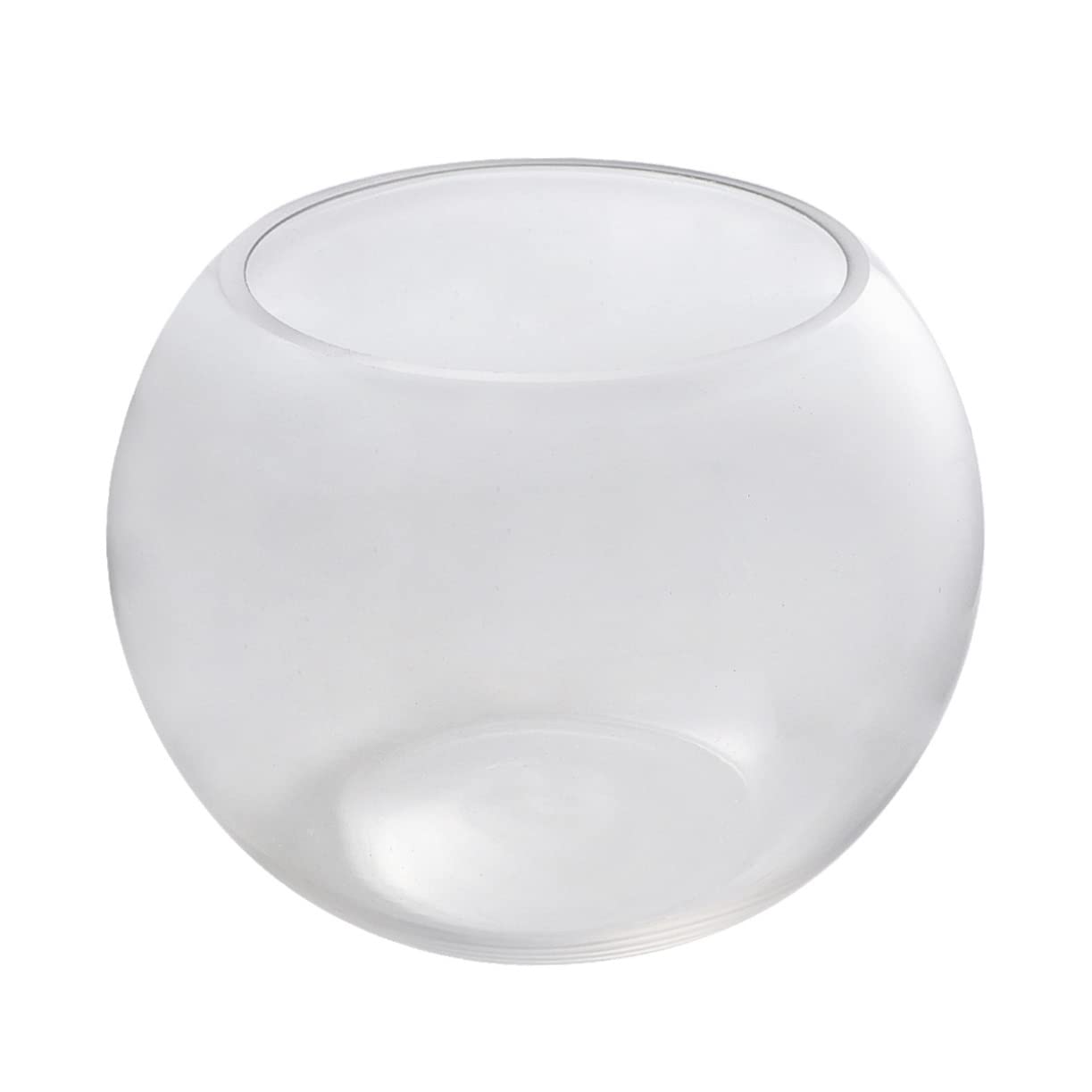 Aquarium globe en verre idéal comme terrarium élégant pour salon, table d'hôtel et bureau