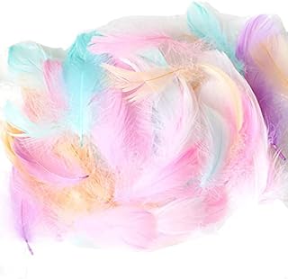 JANEMO 100 PCS Coloured Feathers,10-15cm Soft Natural Goose Feathers for Crafts,Use for Make DIY Crafts,Wall Decorations,Halloween Masks, Dream Catchers,Lighting,Bohemian Feather Garlands,Multicolor