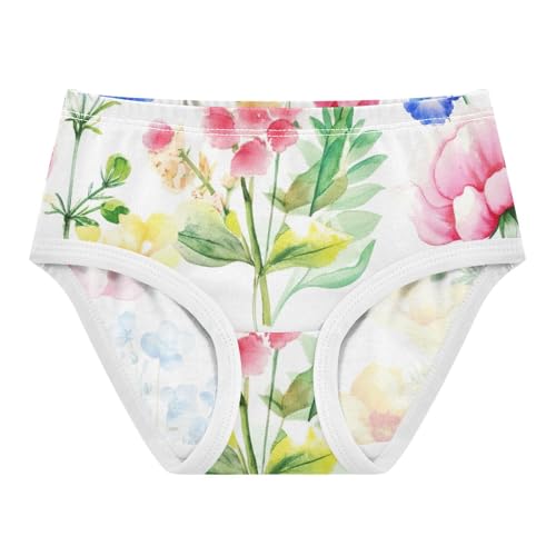 Aesthetic Toddler Girls Underwear 2t Cotton Little Girl Panties Wildflowers Briefs Underpants