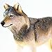 Safari Ltd. Gray Wolf Figurine - Realistic 4
