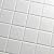 2" x 2" Essential White Matte Finish Ceramic Mosaic Tile on mesh Mount