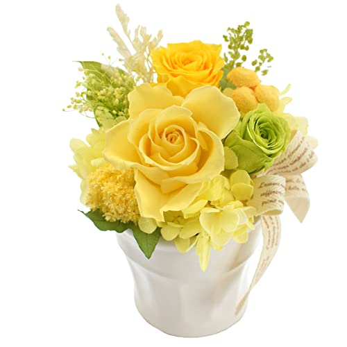 ԗR vU[uht[ pbg (C7 ^g/NAP[X) Of[V AWg t[ j Mtg v[g o  a j ސEj