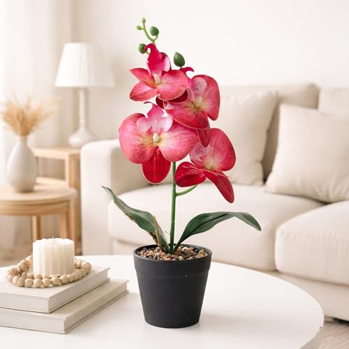 Image of Habere India-All the Cultures Fabricating India Red Orchid Artificial Plant with Pot for Home Decor | Small Fake Plant for Living Room & Indoor Decoration (Design05: L9 x W9 x H32 cm)