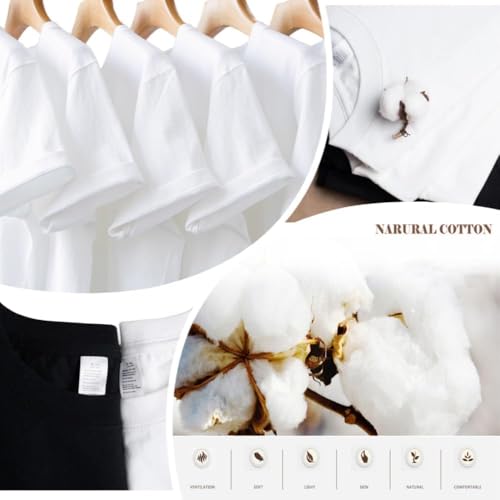 BOYNEXTDOOR Fan - Inspired 2025 Concert KnockOn Cotton T - Shirt - Kpop Merch for BYNDzens4