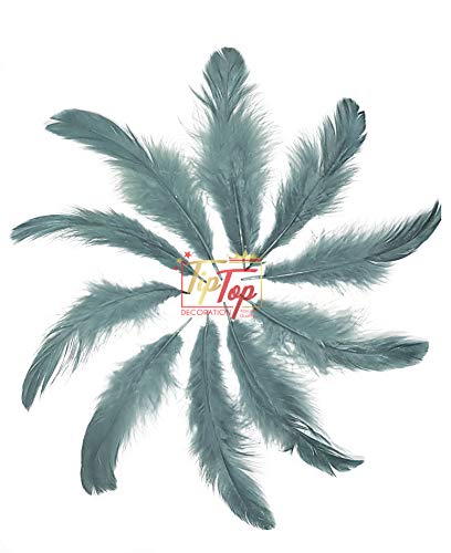 Image of TIPTOP DECORATION Natural Dyed Feathers 10 cm (80 pieces) (Grey)