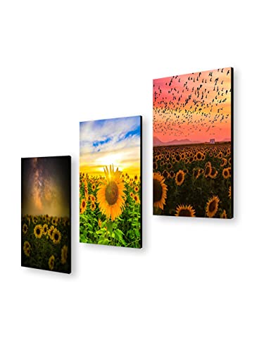 Image of 999STORE The Rising Sun Over Sunflowers home room decor framed stylish modern wall frames hanging items for living (Set of 3 Panels Paper Print 24X15 Inches) MDF3Frames021