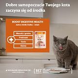 Wellness CORE Boost Trawienie 14 x 85g, Indyk – Mokra Karma