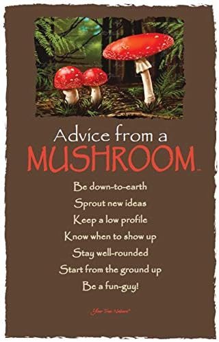 Amazon.com : Your True Nature Postcards 12 Pack - Advice From a ...