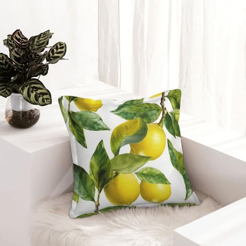 Housses de coussin 40,6 x 40,6 cm carrées similicuir décoration salon lit moderne rustique