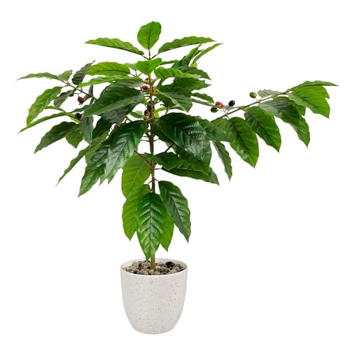 CAFEMASY Artificial Coffee Bean Plant Tree for Indoor & Outdoor Coffee Bar Counter Desktop...