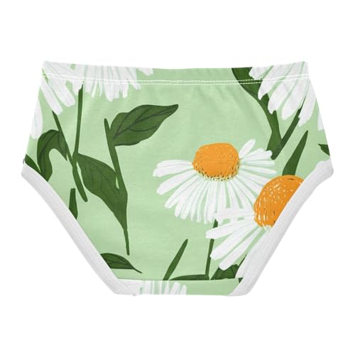 White Coneflower Daisies Green Girl Panties Cute Toddler Underwear Floral Cotton Cartoon Briefs Underpants 2t2