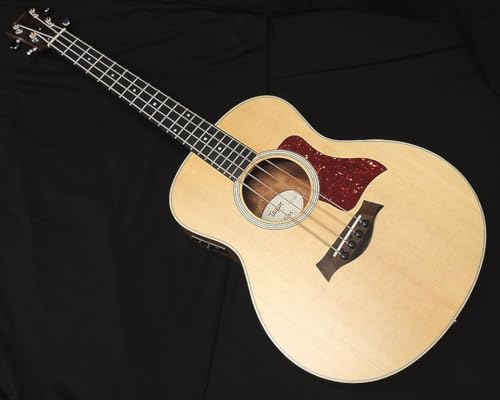 Taylor GS Mini-e Bass �e�C���[ �A�R�[�X�e�B�b�N �x�[�X GS�~�j �x�[�X �G���A�R�x�[�X �A�E�g���b�g