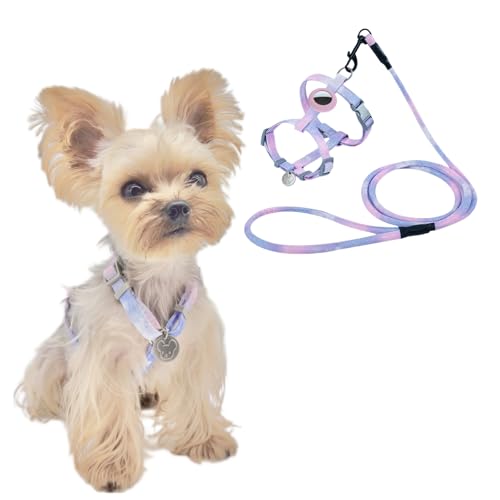 YorkieGogo Guinzaglio e pettorina anti-trazione con supporto AirTag per piccoli animali, gilet rinfrescante, perfetto per l'estate, XXS (viola, taglia S)