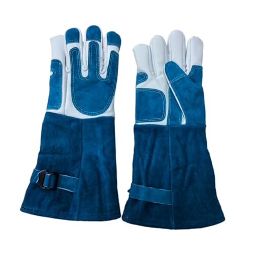 Leefasy 戵p ϔM~g ybgp L p ݂h~ O[~O wr K[fjO , fB[vu[zCg