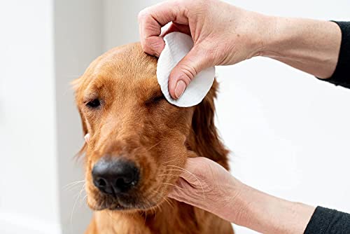 pet wiz Augenpflegetücher für Haustiere | Tierarzt-geprüft | 120 extra große natürliche Tücher | sanft und beruhigend, 2er Pack (insgesamt 240 Tücher)