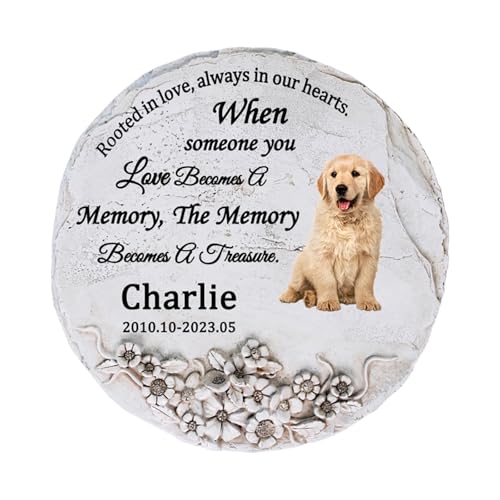 p[\iCYꂽ~`ybgA ? ʐ^ƕ𒤍L̕΁BO/̃AfR[VɍœKȑϋv̂ybg