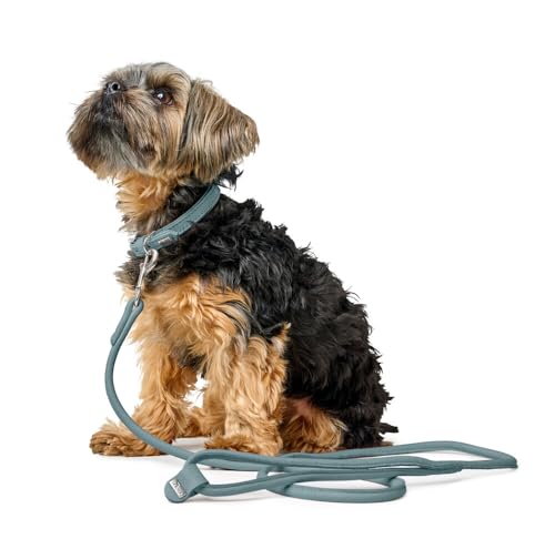 Hunter Hundehalsband SOHO MINI, Farbe: hellblau, Rindsleder, weich & geschmeidig, fellschonend, leicht, für kleine Hunde & Welpen, Made in Germany, Größe: 27