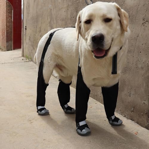 Bottes pour chien imperméables et antidérapantes à bretelles